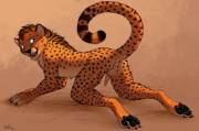 Playful cheetah [HH] (Anchee)