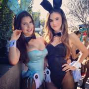 Blue and Black Bunnies