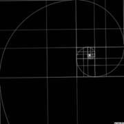 Fibonacci Spiral (xpost /r/perfectloops)