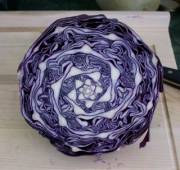 Cabbage Geometry (x-post from /r/interestingasfuck)