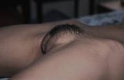 A hairy pussy nicely trimmed.