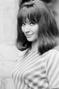 Anna Karina album (star of many French "New Wave" films in the '60s) [x-post from /r/VintageCelebsNSFW]