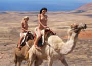 Riding some camels