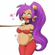 Shantae restrained