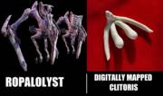 Ropalolyst looks like a full clitoris, which is bigger than I thought
