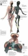 Futuristic sexbot concept art