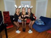 Bunny 1 Bunny 2 Bunny 3