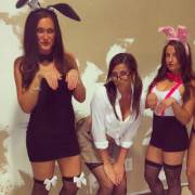 Two bunnies and a secretary