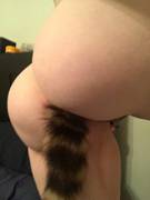 Anyone like a Pawg with a tail???