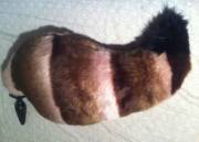 the hand made fox/wolf tail plug my kitty made went for more of a cartoon/furry look with this one
