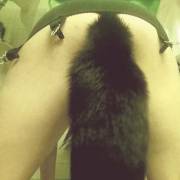 I love my tail. Would you pet me?