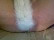Chubby fe[M]boy's first tail ^3^