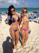 Busty bikini beach babes