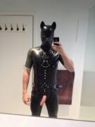 rubber puppy ready to play :)