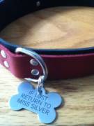 My pup's collar and tag