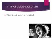 I made myself sad in lecture today... Forgot I'd included a picture of Gene in my discussion about what it is to be alive.