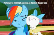 Fluttershy rubbing her pussy on Rainbow Dash's face