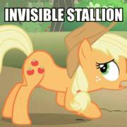 Invisible Stallion