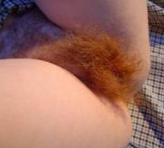 Ginger tuft (x-post /r/HairyPussy)