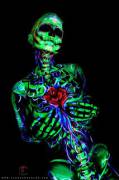 Bio luminescent skeleton