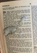 [Proof] Cum IN a bible