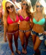 Three quality bikini hotties