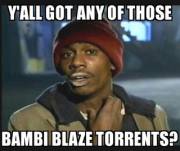 Now that sharing Bambi Blaze torrents is okay with the mods..