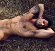 Laying In The Hay