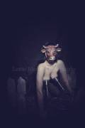 [Photo] Artistic image of a woman milked in a cow mask