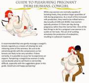 [comic] Guide to pleasuring pregnant demi-humans: Cowgirl