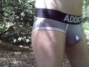 Grey Briefs in the Forest