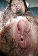 Closeup of hairy Asian hole