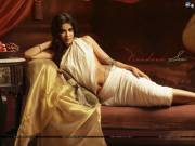 Nandana Sen - Hot in white saree