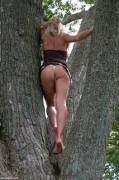 Anyone want to climb a tree?