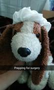 Stuffie surgery.