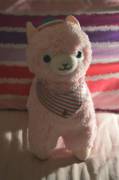 When your tummy hurts so your Daddy buys you an Alpacasso :)