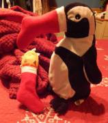 Daddy and I made stockings for our stuffies, Foxxi &amp; Mr. Penguin. I think they like them :3