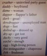 Commonly used words for the 1920's