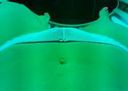 Tanning bed shot from the wife