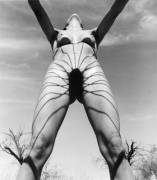 Allen A. Dutton - Spider Woman Sun Worshipping, 1974