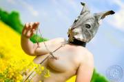 rabbit masked girl in a canola field