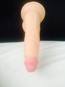 [F] being single meant getting some new toys - dude, suction cupped dildos are the best!!!