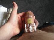 My 18 y/o cock in chastity.
