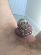 Felt my locked cock looked pretty good this morning. Going on 5 days, the longest I've done in a while!