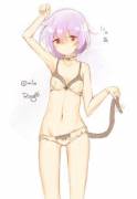 A different kind of cat lingerie