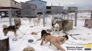 Maledom Empire proudly opened our Arctic Research facility, we use different animals for security