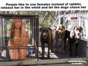 Many people like to train their dogs to hunt female petgirls instead of rabbits, just let them chase her for fun