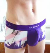 Lovely Clever undies (literally)