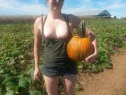 Join me for a walk in the pumpkin patch ?