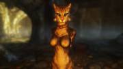 For some reason I have an album of 99 screenshots of sexy Argonians and Khajiiti. Enjoy!